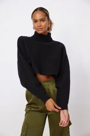 Shelton Cropped Turtleneck Sweater