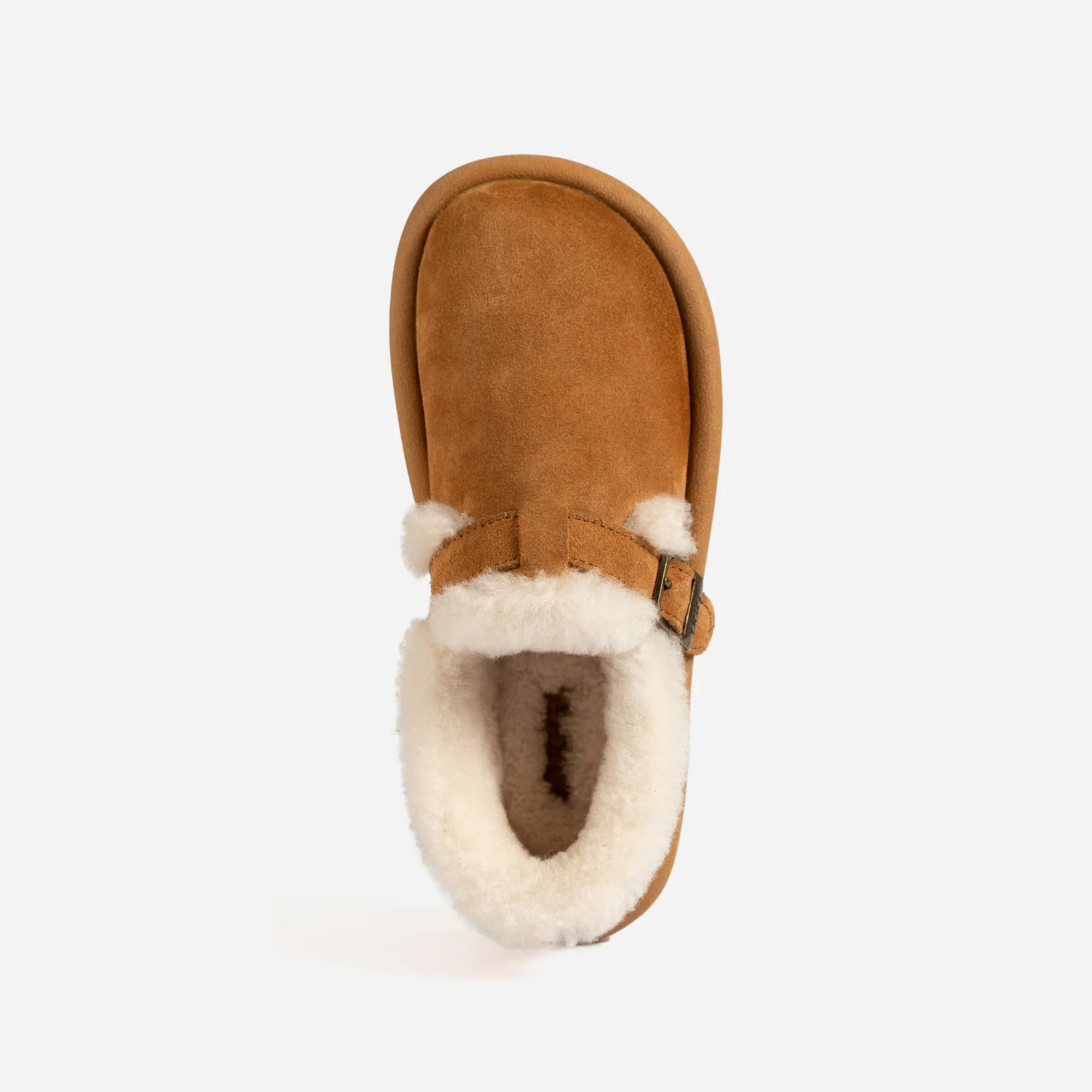 Ugg Camelia Suede Loafer